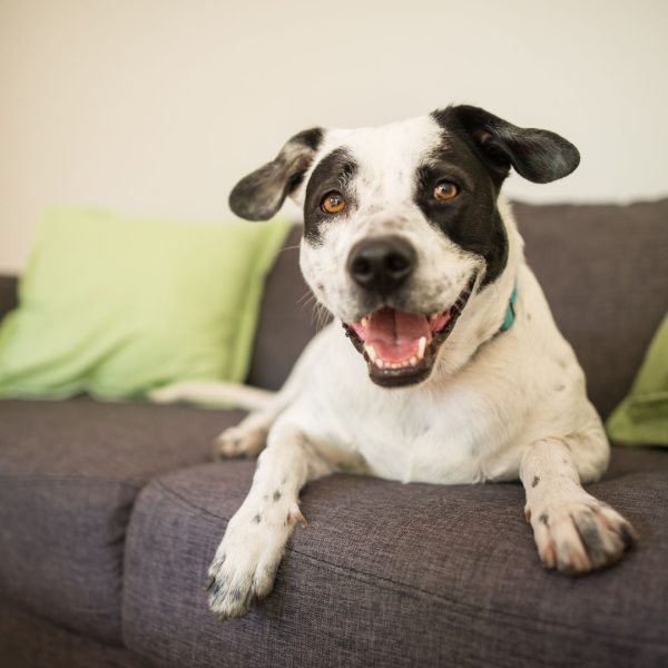 97-r47bsmyunii8qwl2wphjqchpm1kkmihlfzv6hffbzk